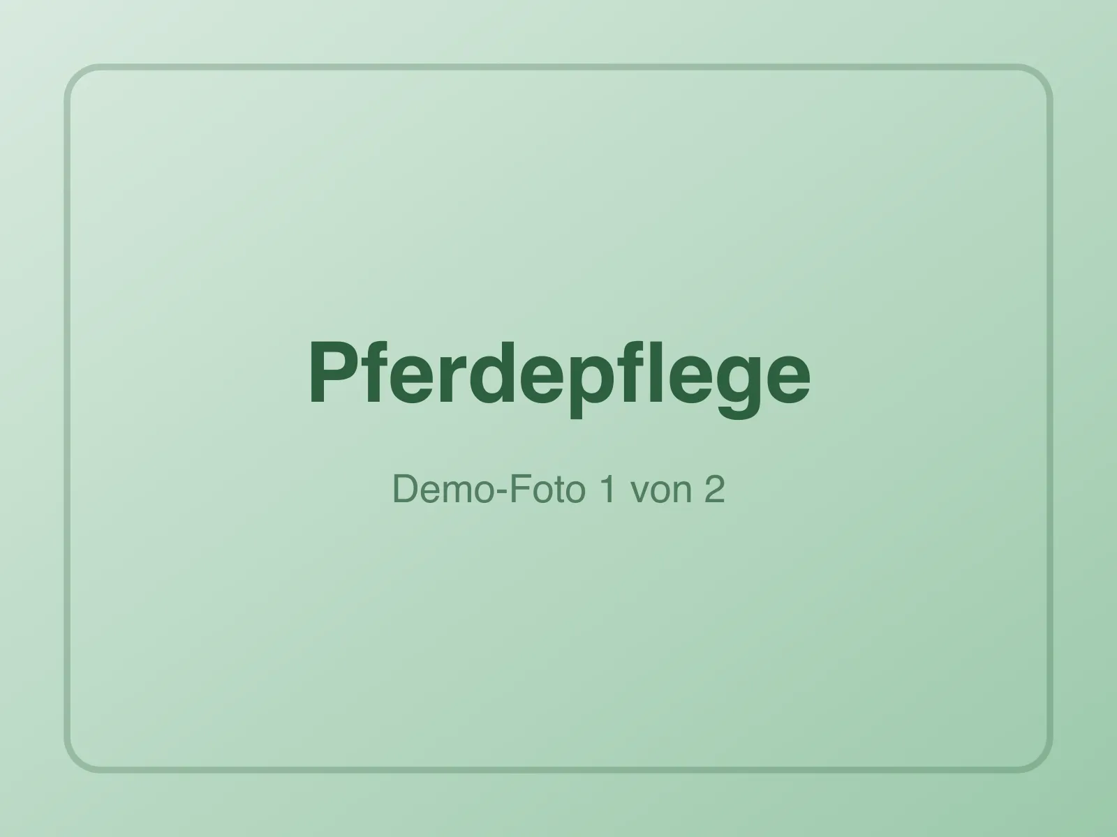 Lederpflege-Set aus der Sattlerei