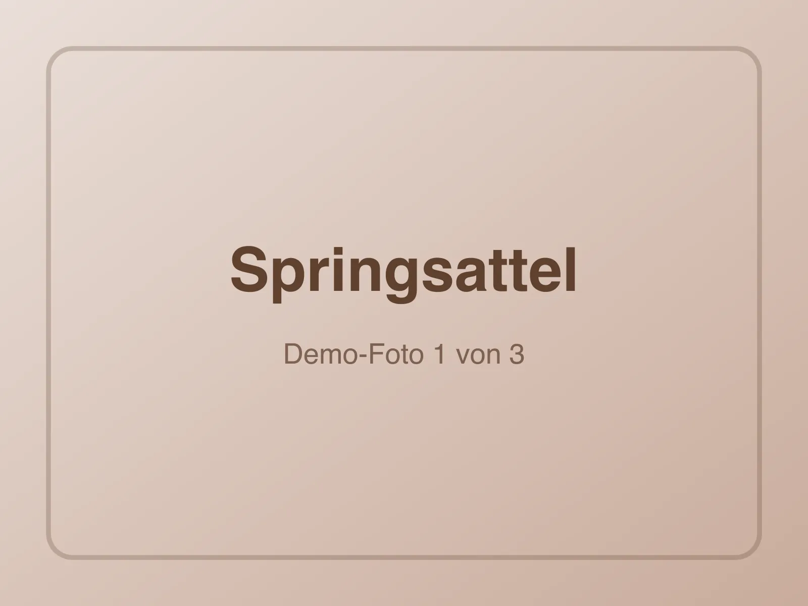 CWD SE02 Springsattel 17,5 Zoll