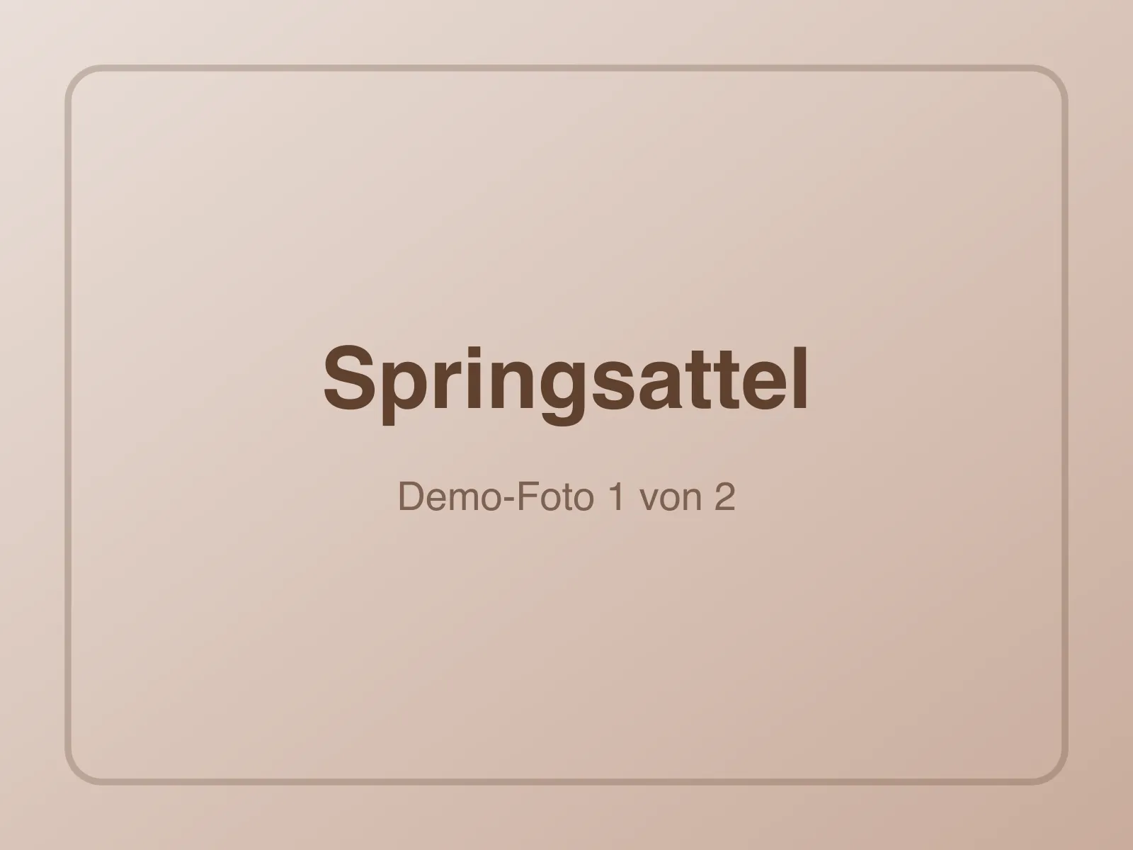 Wintec 500 Springsattel mit CAIR-Kissen