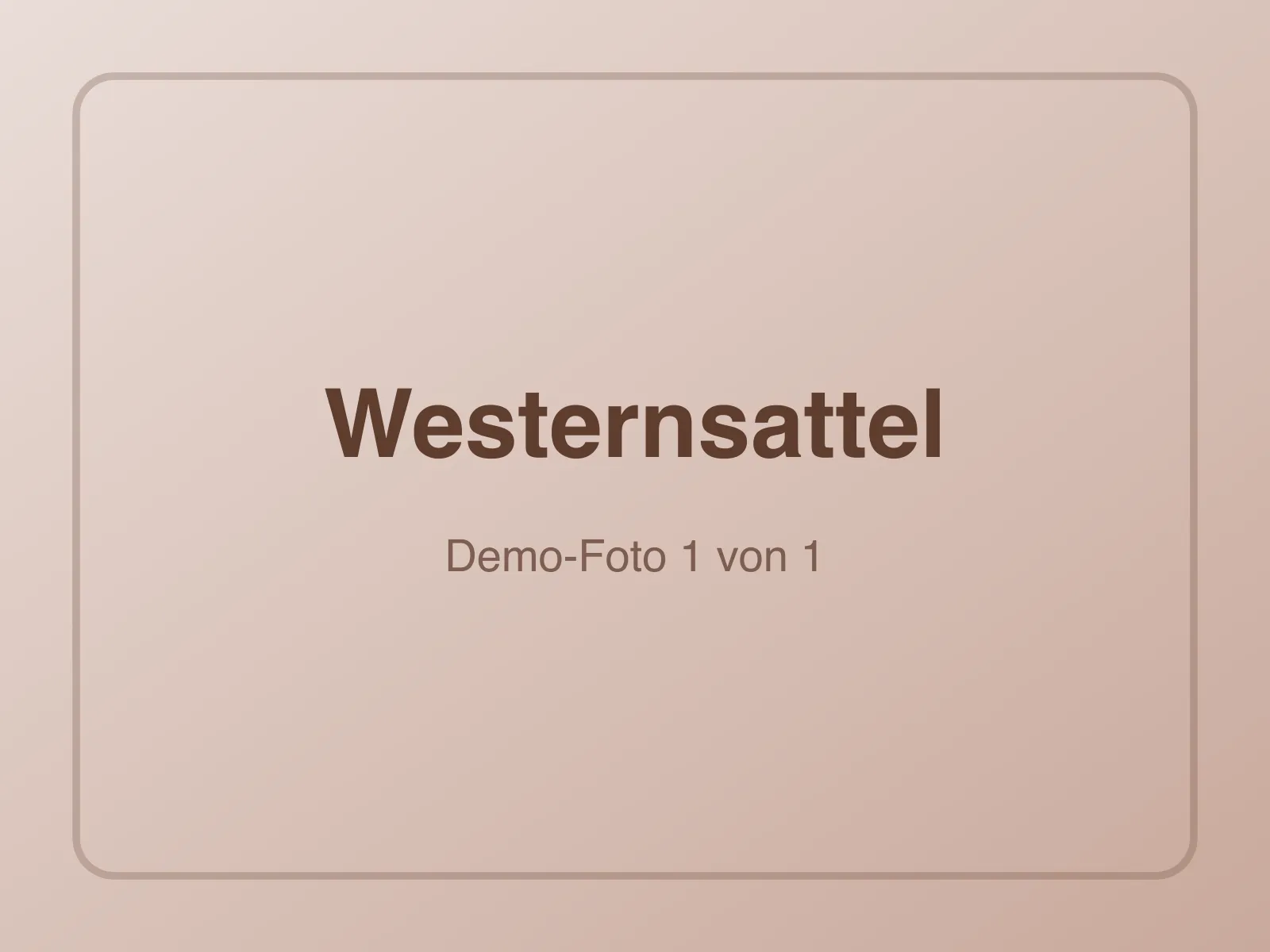 Alter Westernsattel zu verschenken (Deko)